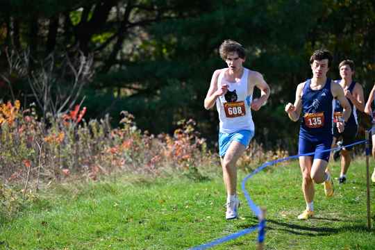 SBHS Cross Country @ NVAC Metro Cross Country Championship — photo 11