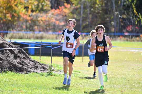 SBHS Cross Country @ NVAC Metro Cross Country Championship — photo 34