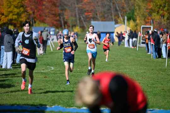 SBHS Cross Country @ NVAC Metro Cross Country Championship — photo 44